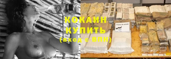 индика Осинники