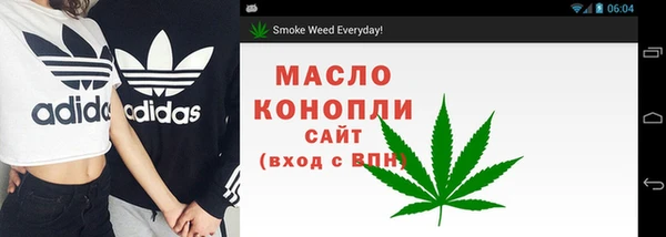 индика Осинники