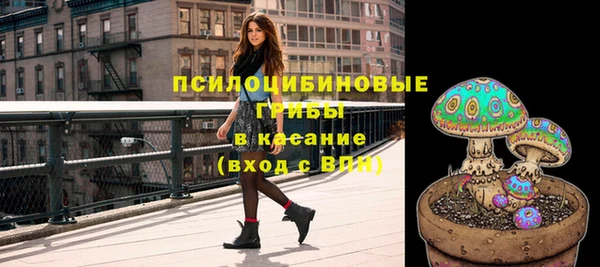 apvp Переславль-Залесский