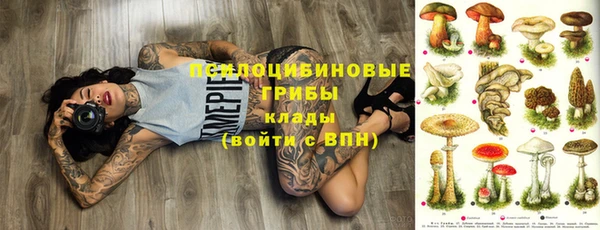 мескалин Осташков