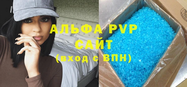 индика Осинники