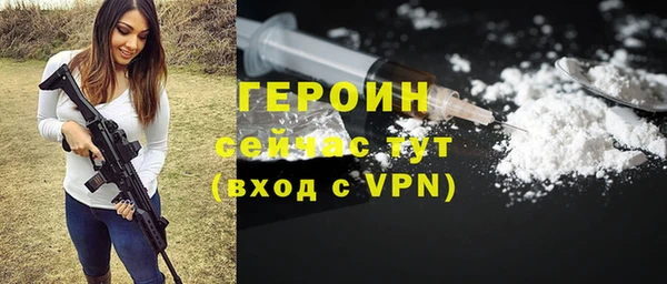 индика Осинники