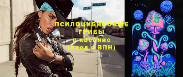 круглые Пересвет