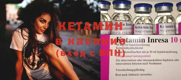 индика Осинники