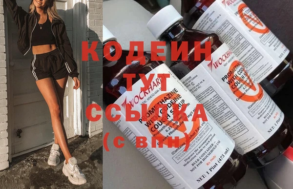 индика Осинники