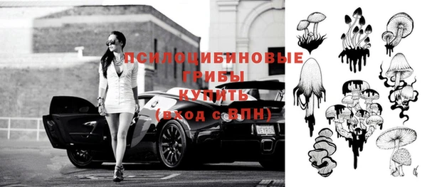 индика Осинники