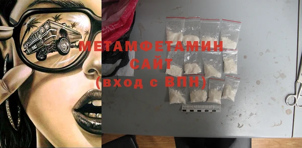 индика Осинники