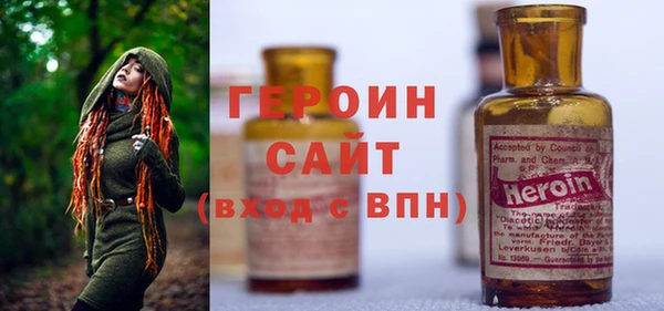 индика Осинники