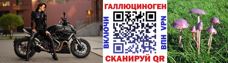 Галлюциногенные грибы мицелий  купить наркотики цена  hydra онион  Белоозёрский 