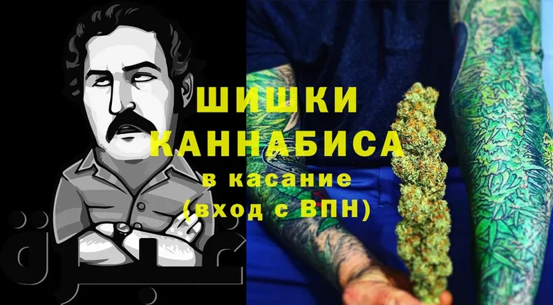 Бошки марихуана Bruce Banner  Белоозёрский 